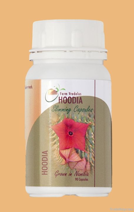 Slimming Capsules - Hoodia 450 mg