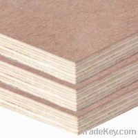 Commercial Plywood