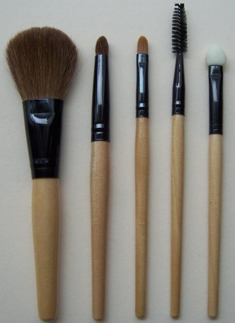 cosmetic brush set