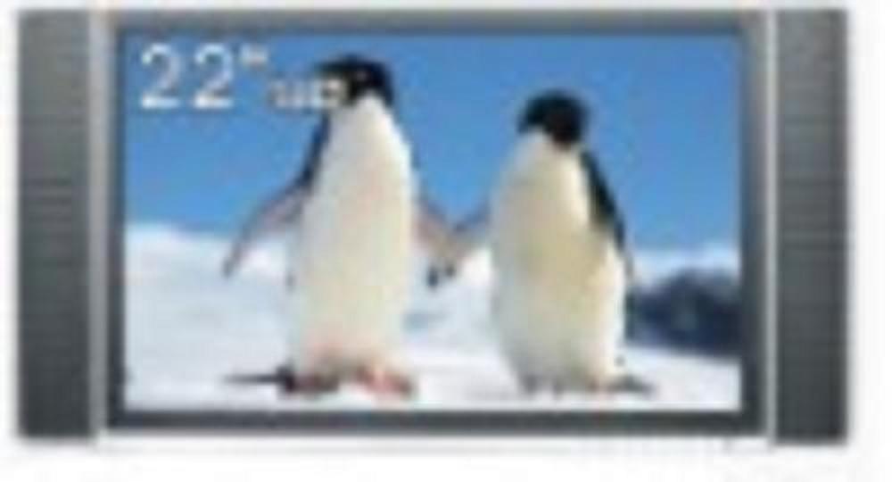 22" LCD video player, digital advertising monitor, POS/POP display