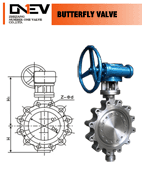 Butterfly Valve