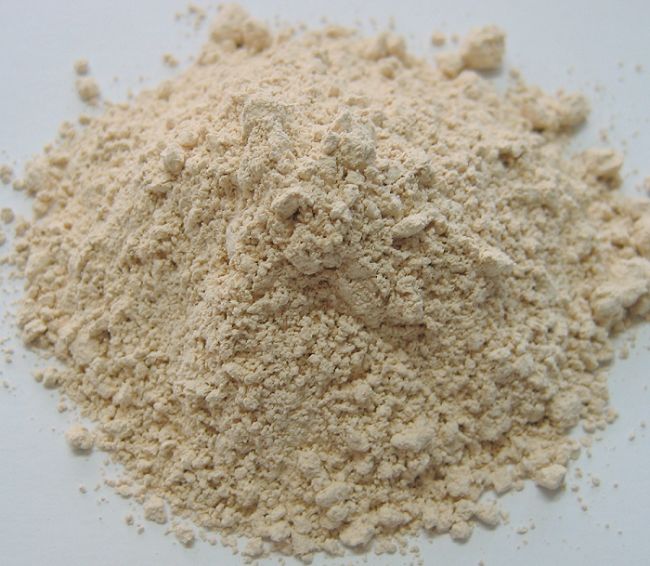 garlic powder