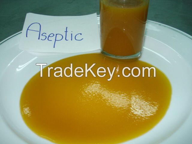 Pineapple juice concentrate in aseptic bag
