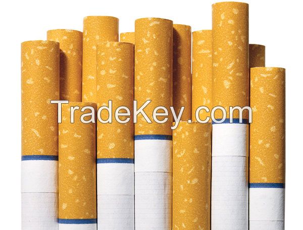 EVA Based Hot Melt Adhesive (Cigarette Filter)