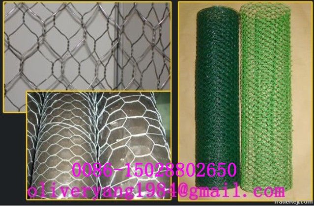 Hexagonal wire netting/mesh