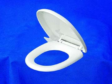 Toilet seat &cover