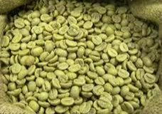 Green Arabica coffee beans