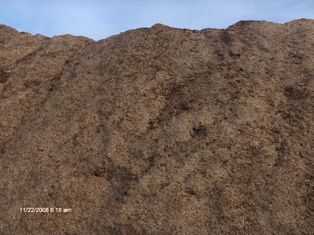 wood fibre