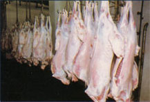 FRESH CHILLED GOAT AND LAMB MEAT, BEEF