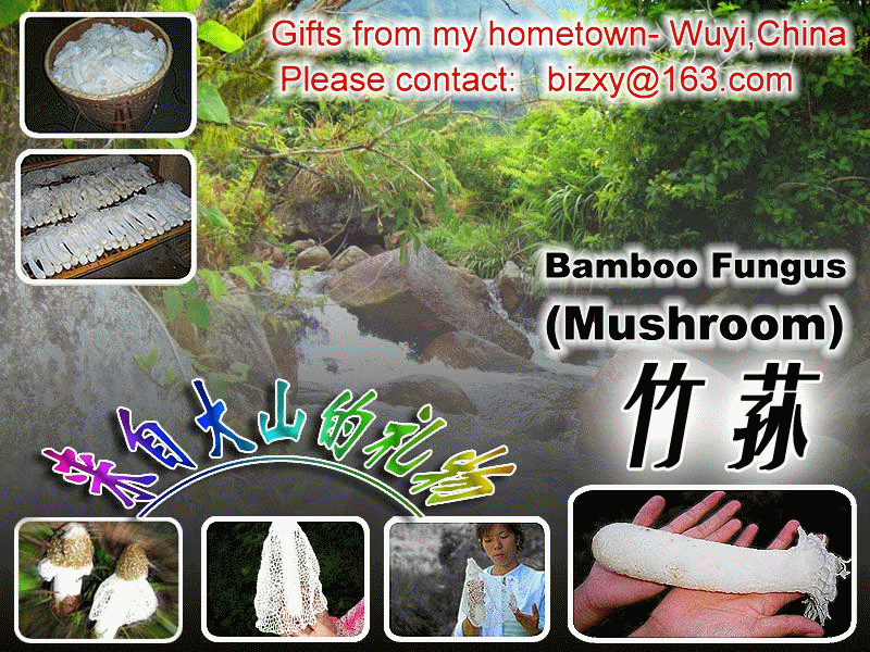 banana furniture,cool wrap,natural stone,bamboo mushroom,circular mach