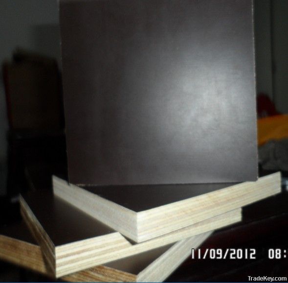 phenolic board film faced plywood