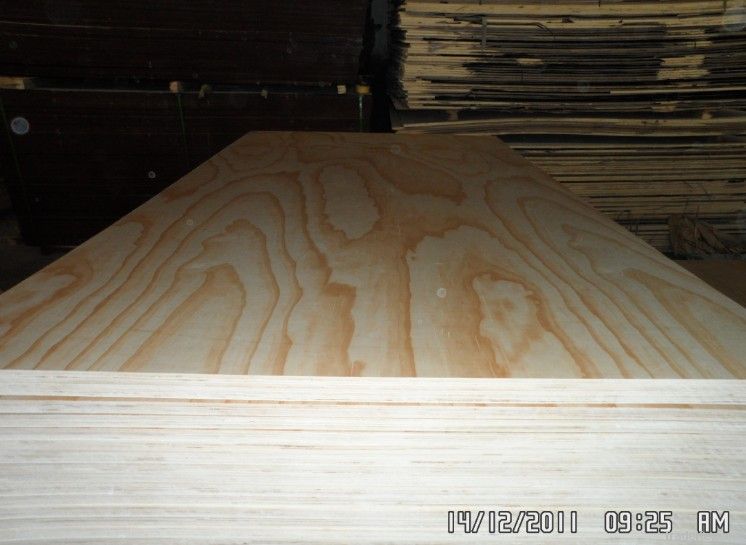pine/okoume/bintangor/birch plywood
