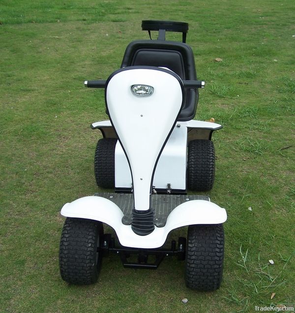 Golf Buggy (GB-100B)