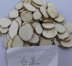Chinese traditional medicine raw material - Angelica dahurica