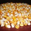 Maize | Maize Exporter | Corn Grain Seller | Maize Buyer | Bulk Maize Grain Importer | Corn bean Buyer | Corn bean Wholesaler | Corn Grain Manufacturer | Best Quality Corn Grain | Cheap Maize Supplier | Low Price Corn | Yellow Corn | White Cron | Baby Mai