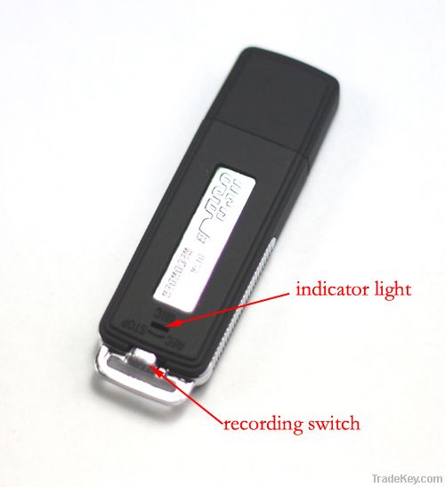 Mini USB Drive Digital Audio voice Recorder usb dictaphone