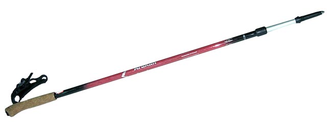 nordic walking pole