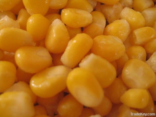 Frozen Sweet Corn