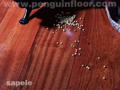 sapele  Engineered hardwood flooring