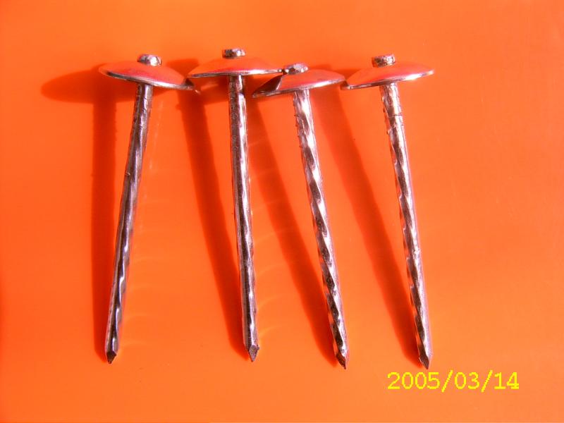 Roofing Nails With Umbrella Head