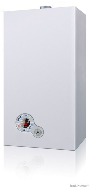 Standard Gas Boiler