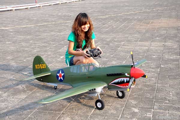 Giant Rc Warbird P40