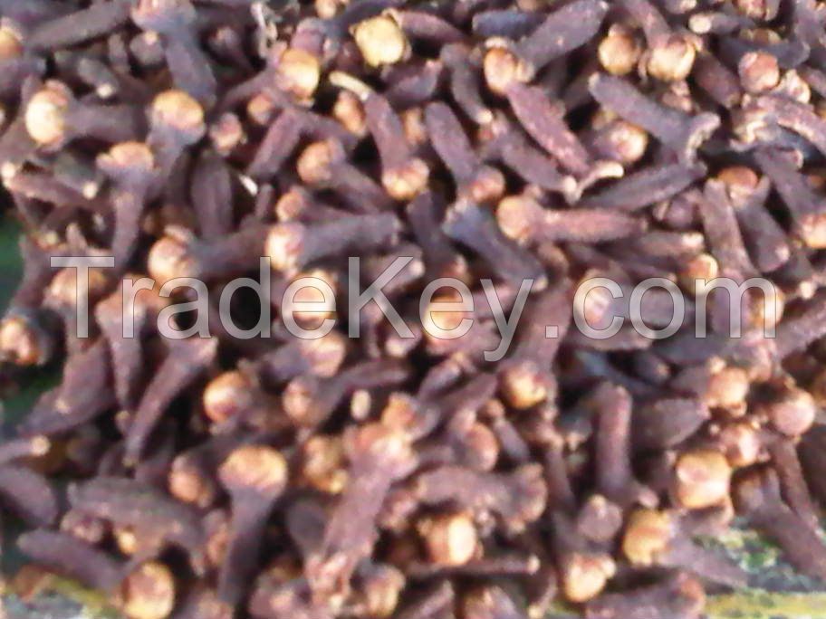 Clove from Indonesia