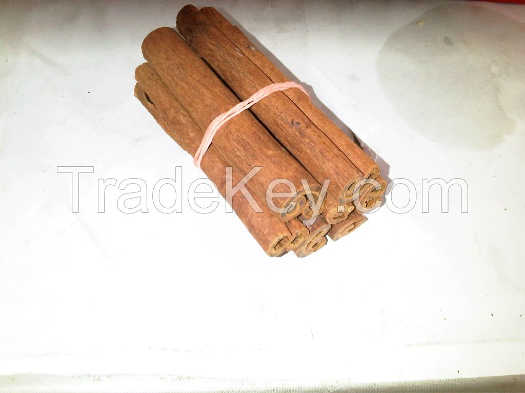 Cinnamon grade AA 10cm cut