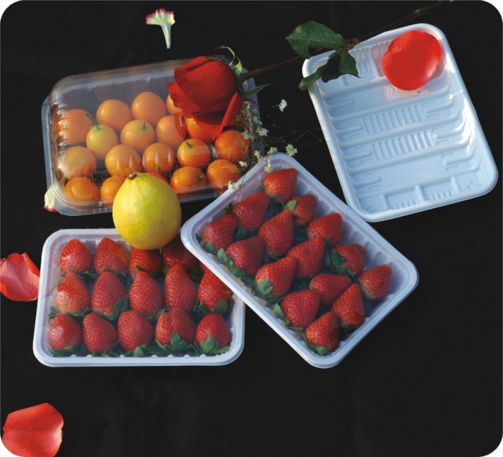 Fruit Container, Fruit Tray, Food Container
