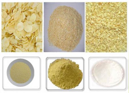 dehydrated garlic products