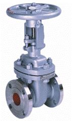 Globe Valve