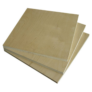 birch plywood