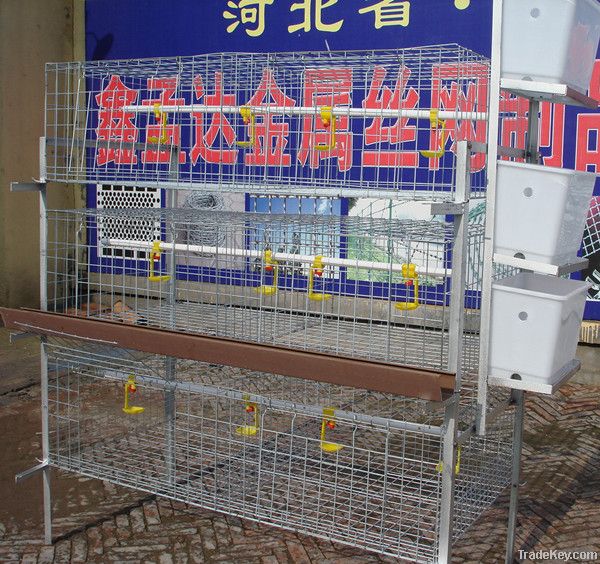 Broiler chicken cages