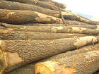 wood import agency