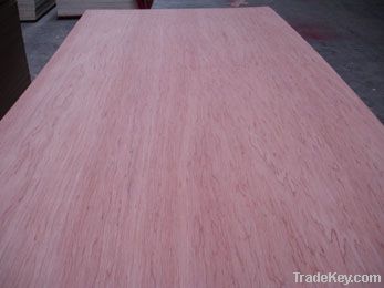 Furniture Plywood