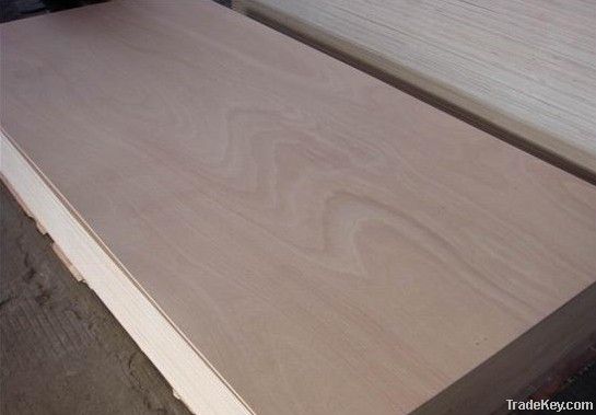 Furniture Plywood