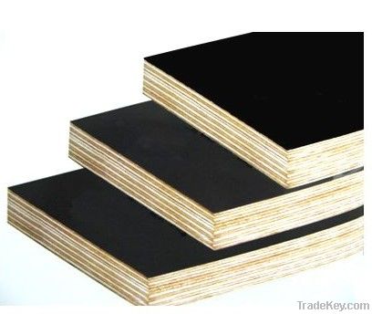 Black Film faced Plywood