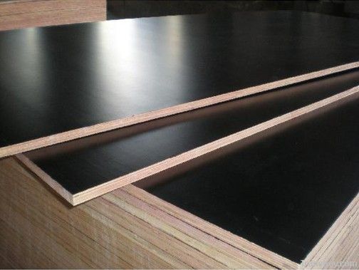 Black Film faced Plywood