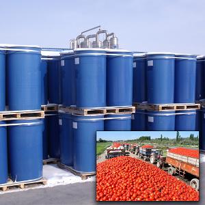 TOMATO PASTE/Pure tomato paste/Xinjiang tomato paste/aseptic tomato paste