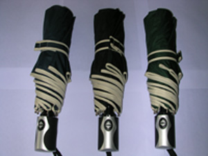 WE OFFER AUTO OPEN AND CLOSE UMBRELLA