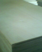 Okoume Plywood