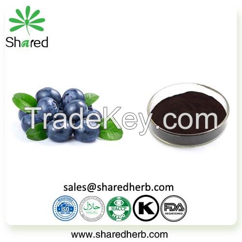 Blueberry Extract