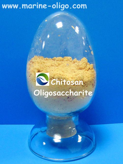 Chitosan Oligosaccharide- BZ-Oligo