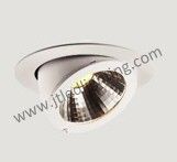 25W LED Swivel & Scoop Downlight