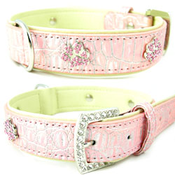 Pet collar & leash,rhinestone dog collar,pet products