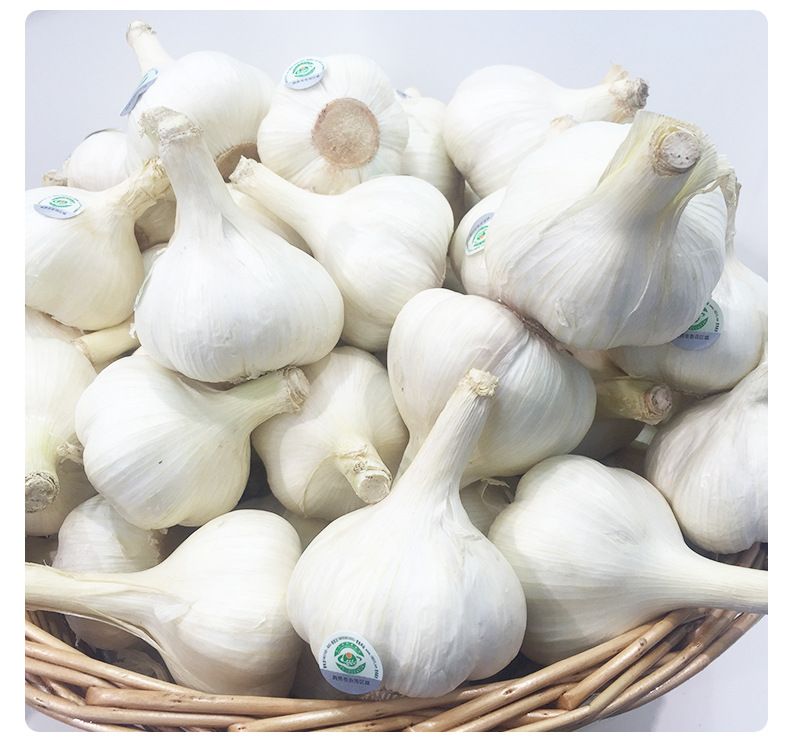 China Factory Exporter 2017 New Crop Normal White Garlic, Pure White Garlic