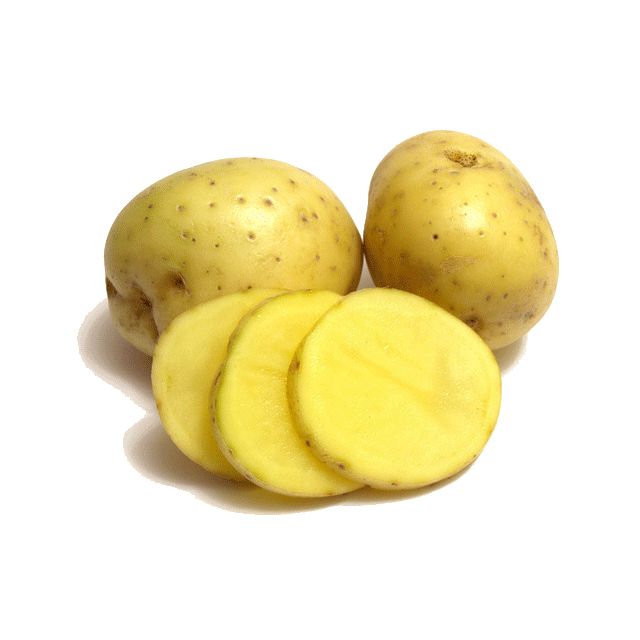 Chinese organic and healthy feature fresh vegetable potatoes with top grade