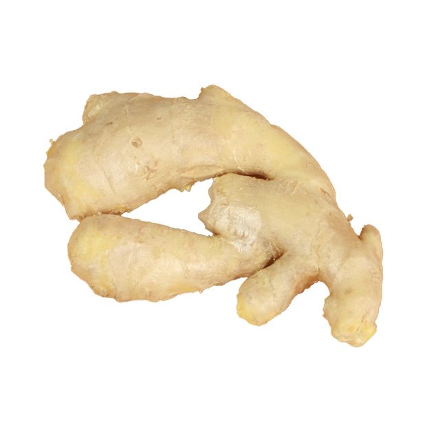 Competitive price fresh fat ginger with super quality