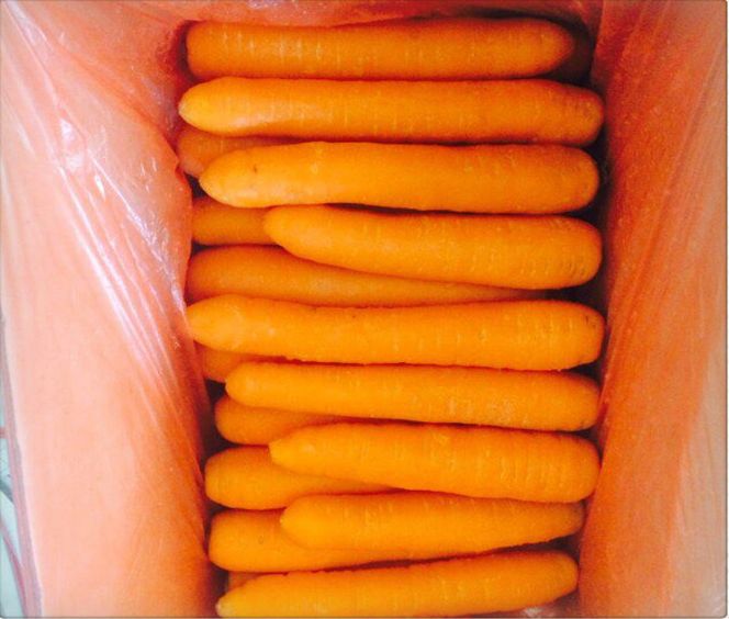 hot sale cheap carrots seller