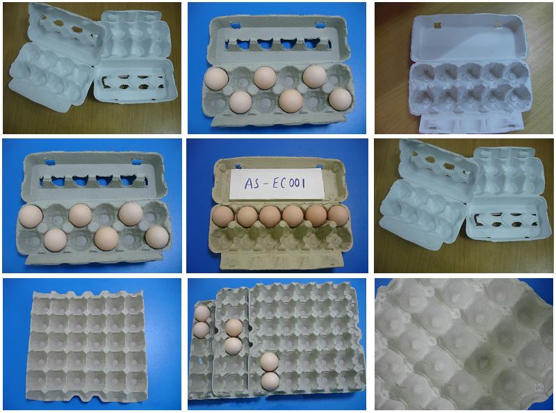 pulp egg tay, egg box, quail egg box, fruit tray